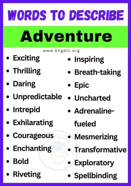 another word for adventurer|words to describe adventure.